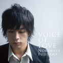 VOICE OF LOVE〜爱の力〜专辑