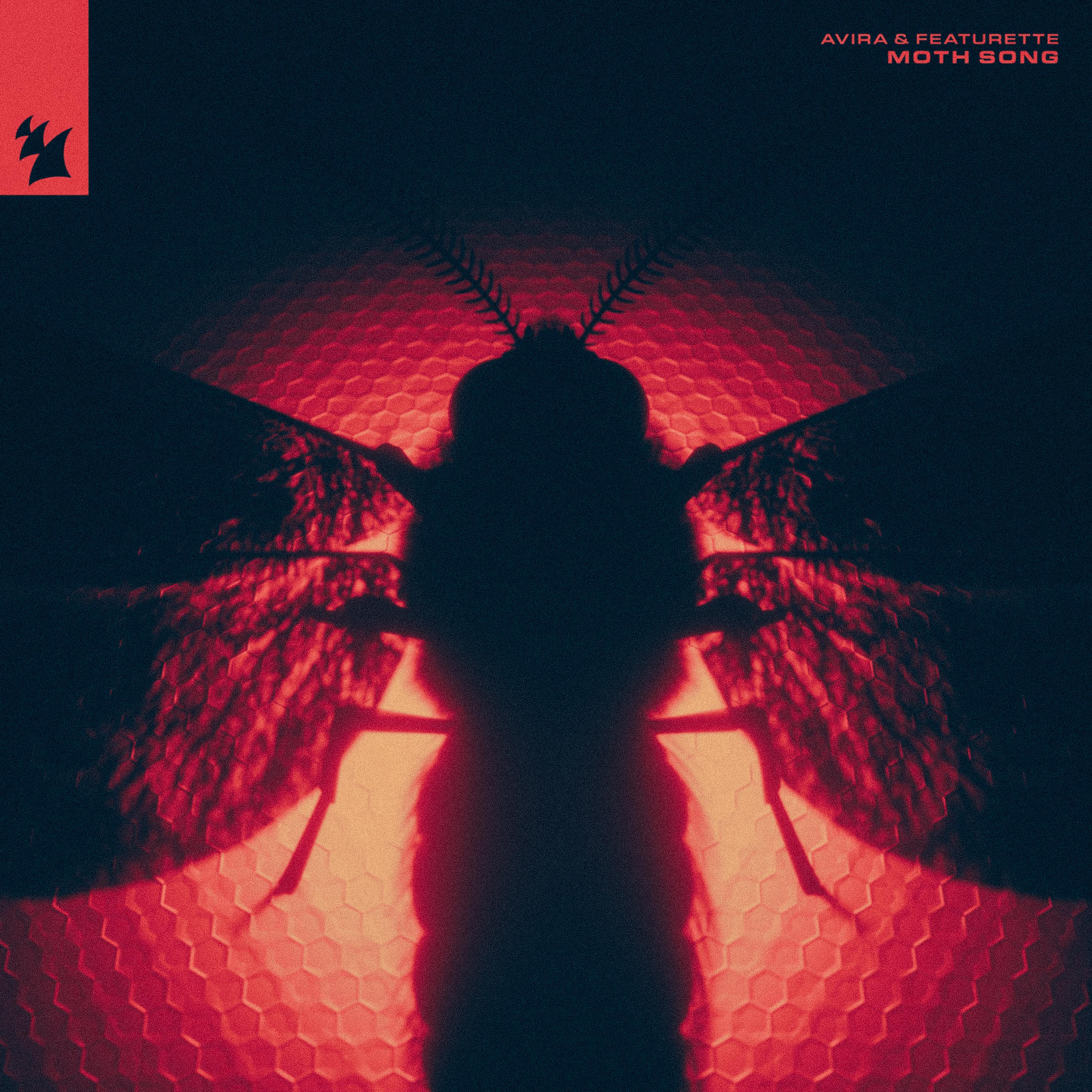 Moth Song