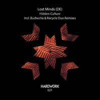 Lost Minds (DE) - Hidden Culture (Recycle Duo Remix)