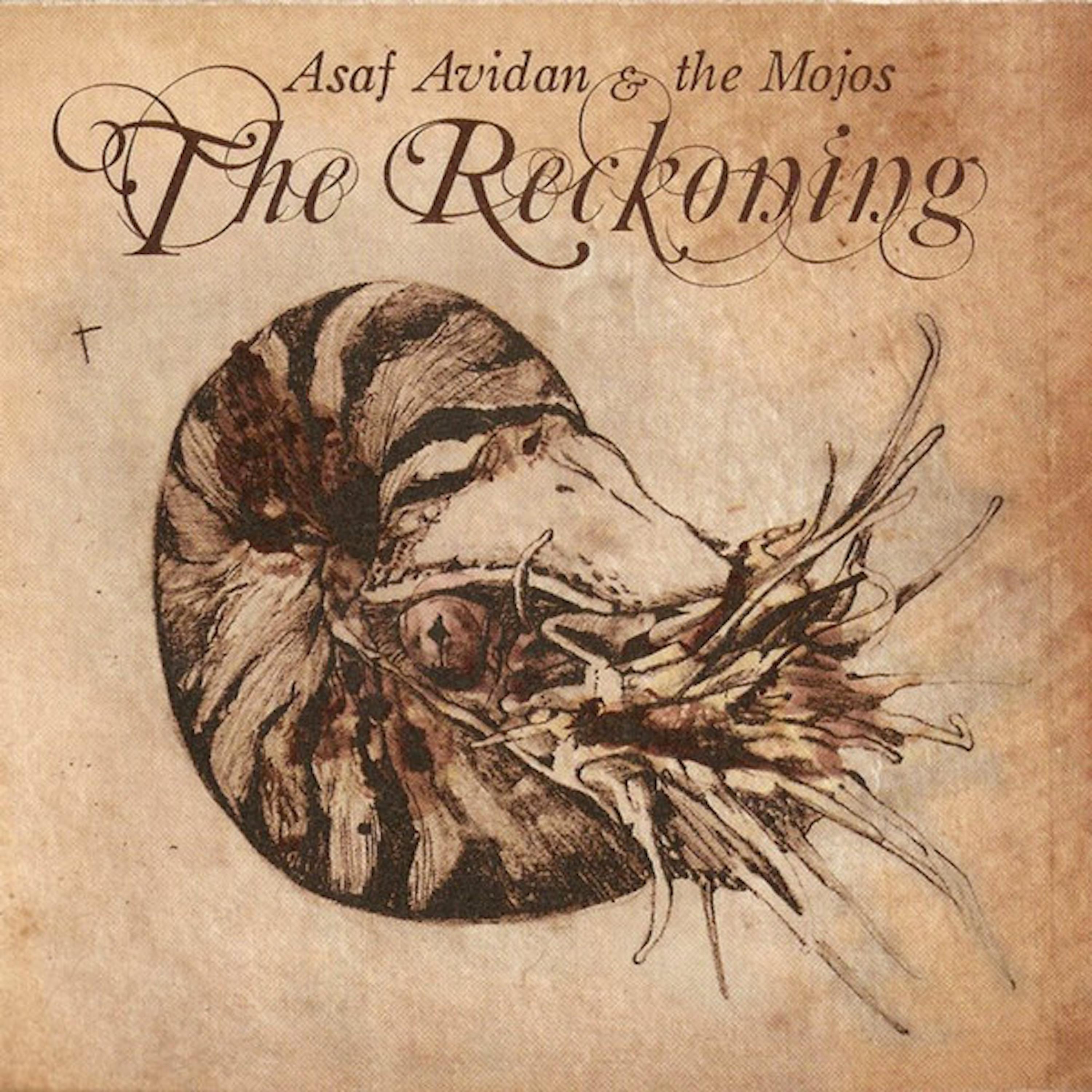 Asaf Avidan - Reckoning Song