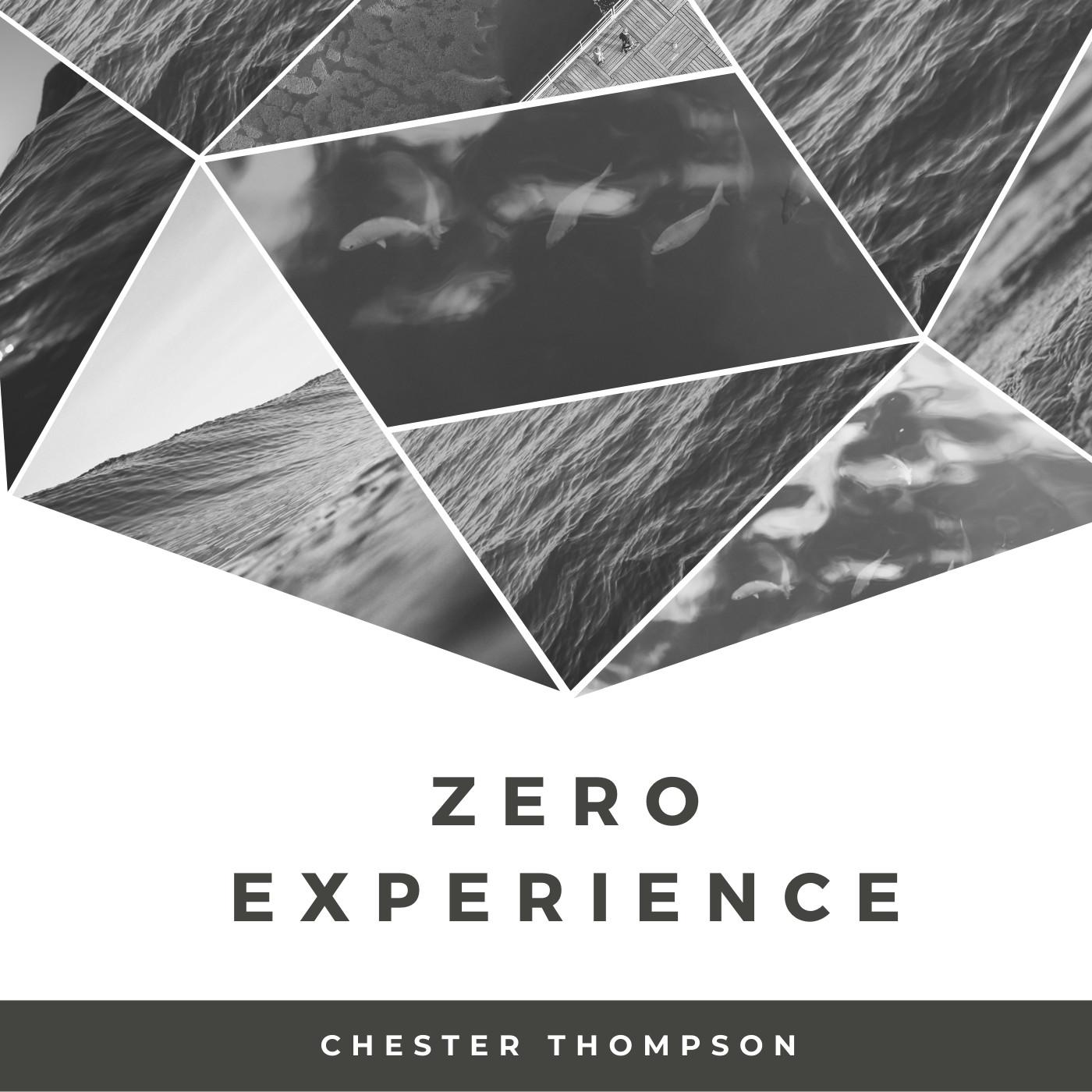Zero experience