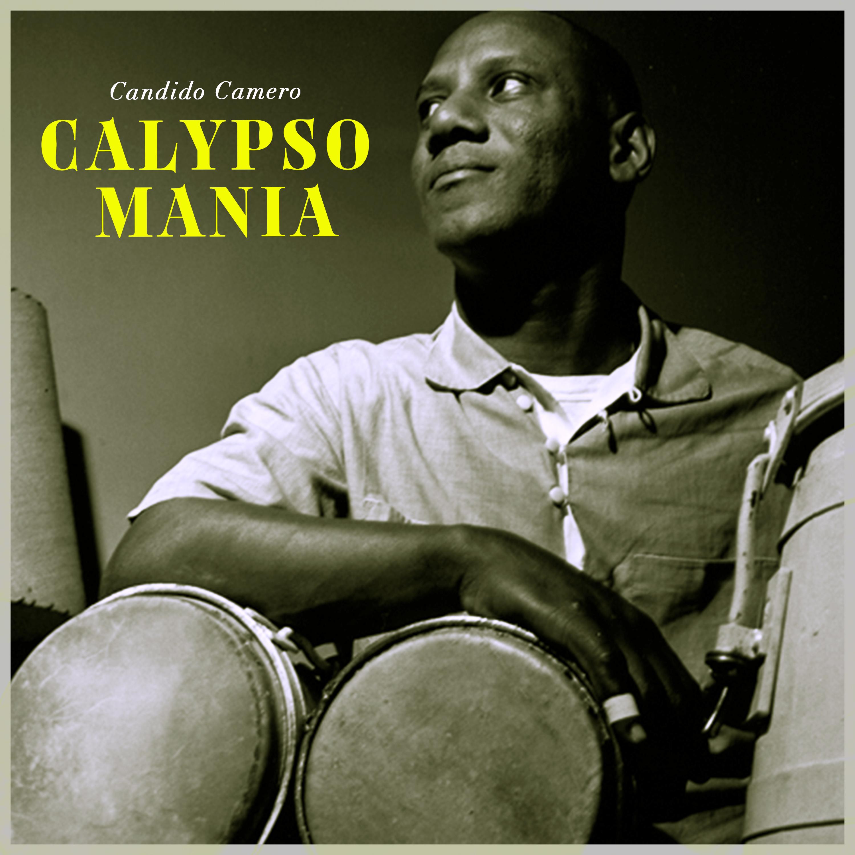Calypso Mania