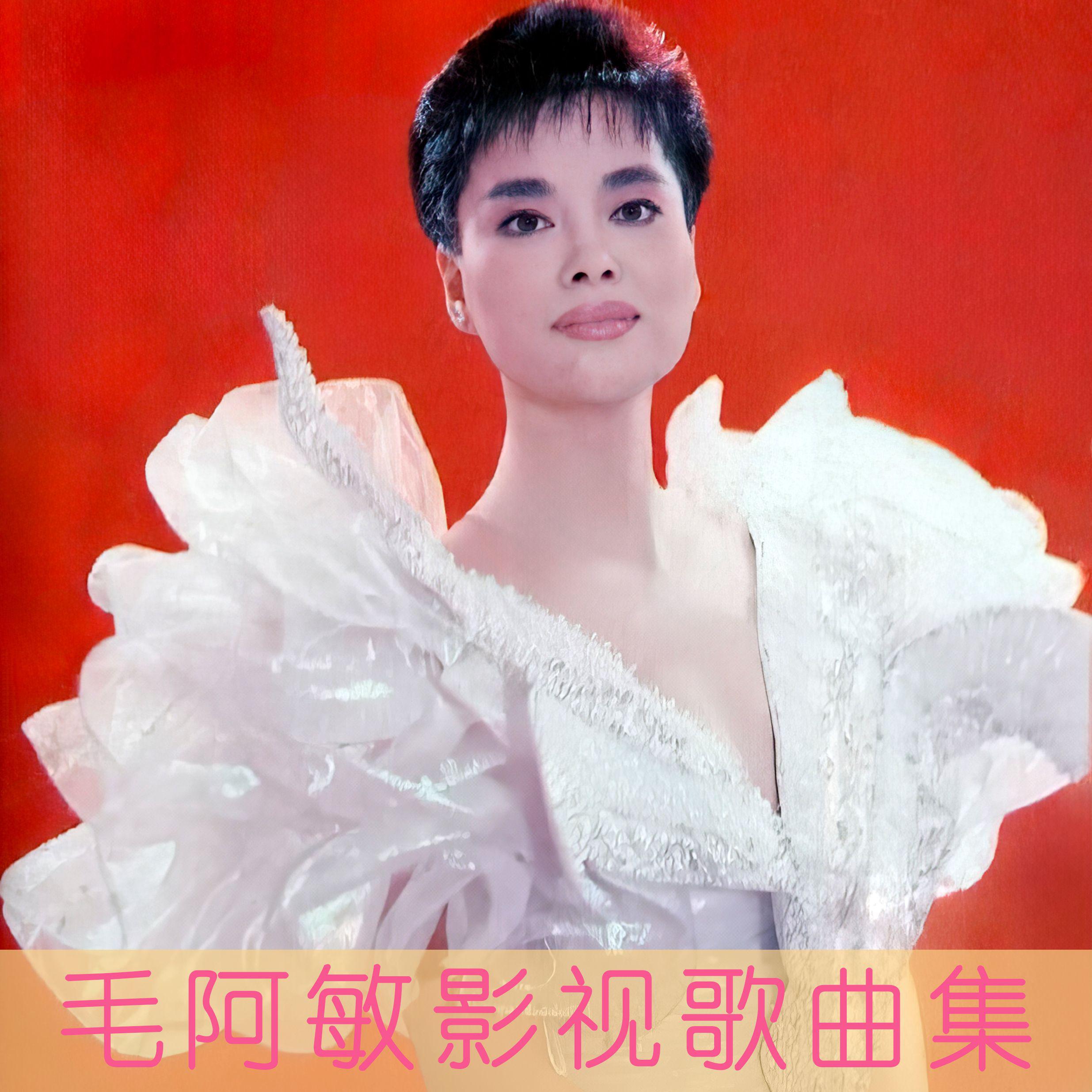 毛阿敏影视歌曲集