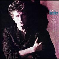 Boys Of Summer - Don Henley