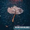 Rain Roots Nature Music - Delicate Rain Aftermath