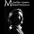 Mahmut Sulayman