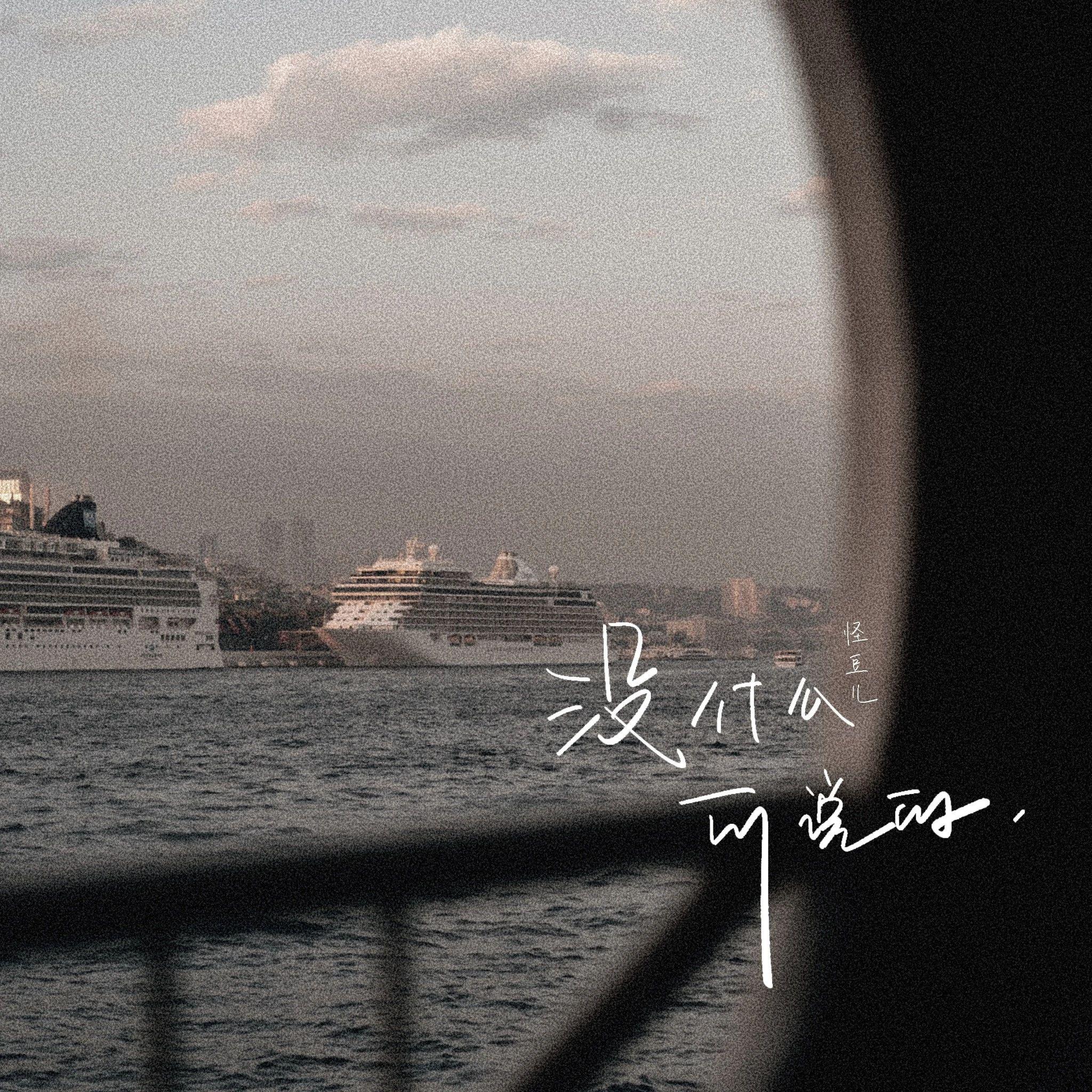 没什么可说的（DJ版）