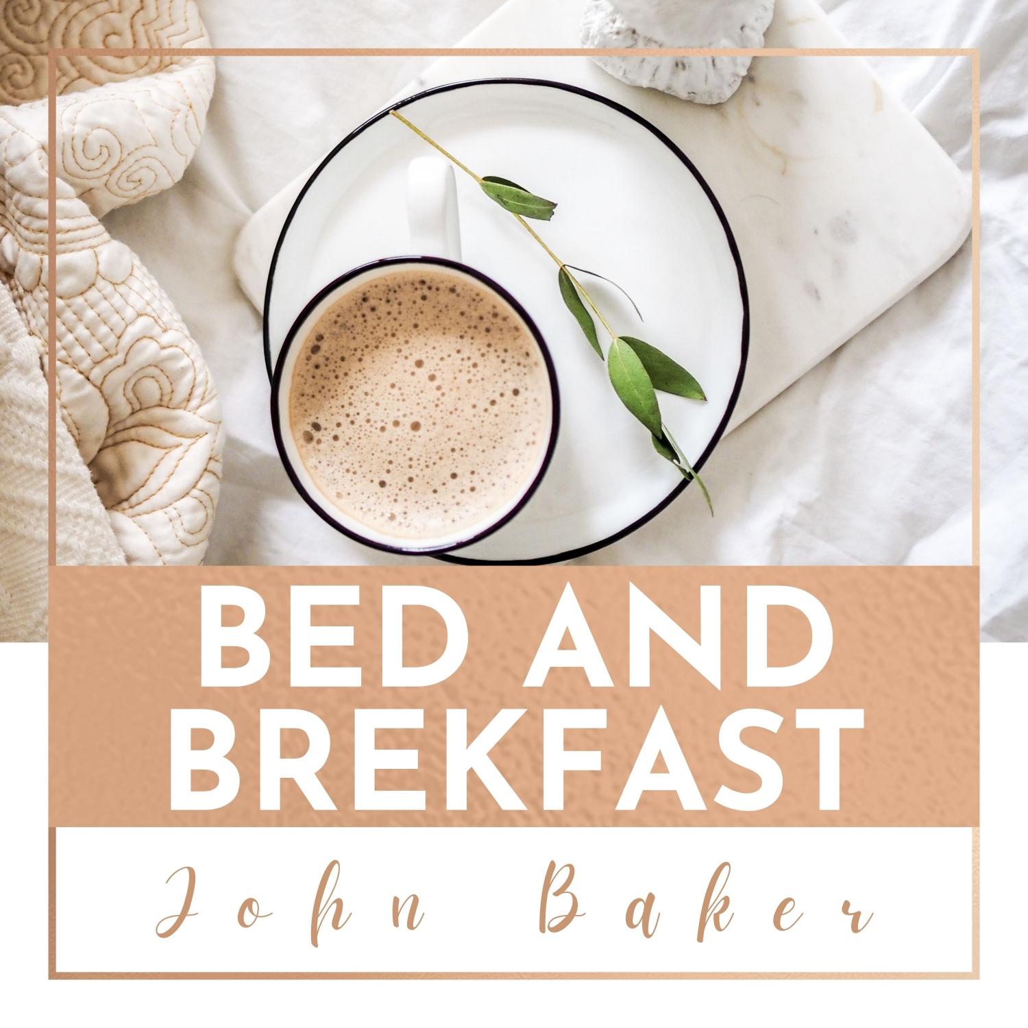 BriefcaseJohn Baker_无损flac下载_mp3下载_歌曲下载