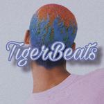 R&BTrap TypeBeat专辑