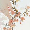 江南烟雨|一曲箜篌肝肠断 不知相思算何否？