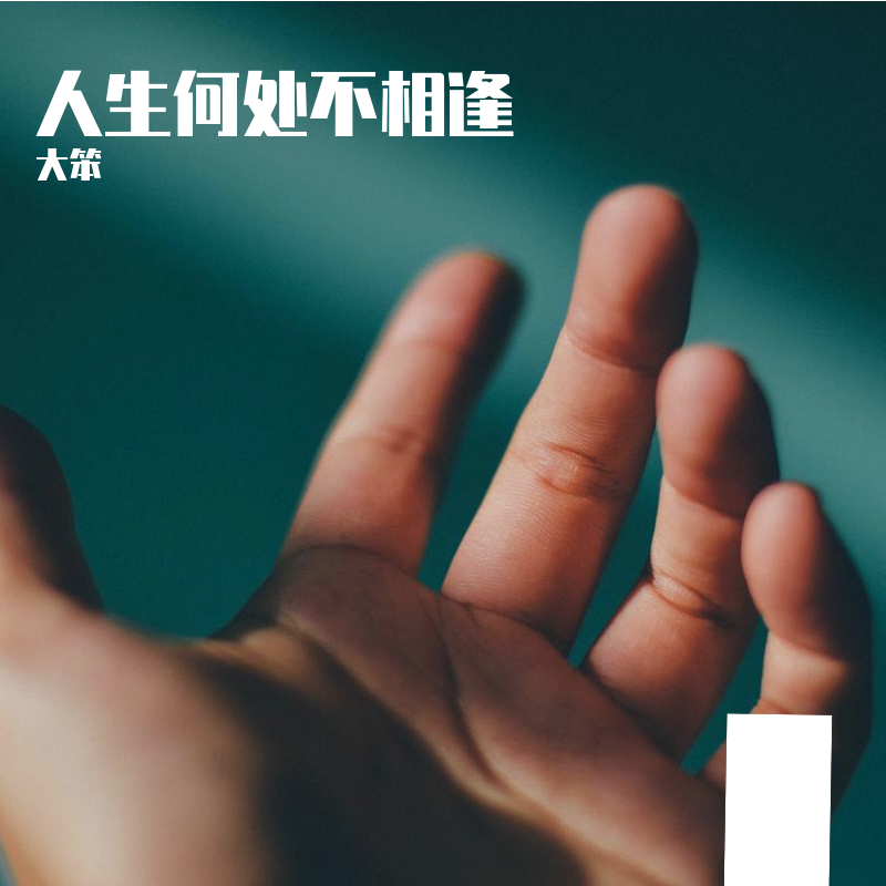 人生何处不相逢（live)