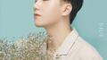 He'story专辑