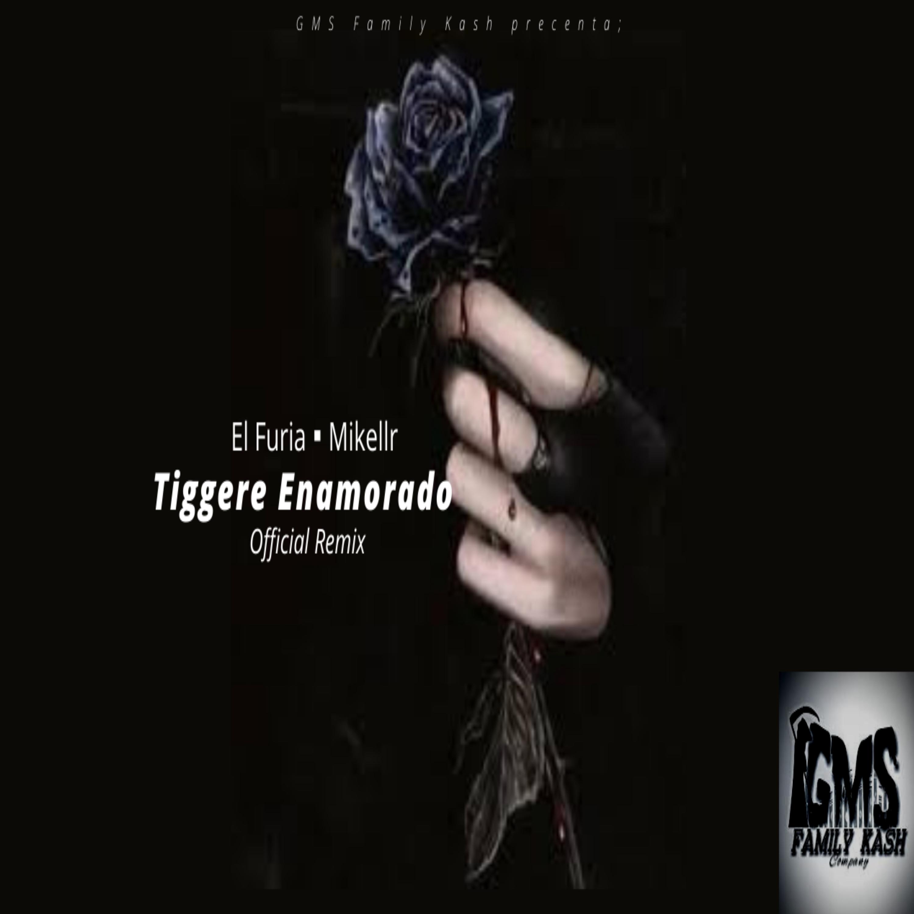 GMS Family Kash - Tiggere Enamorado (Remix)