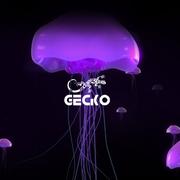 Gecko Mashup 2016