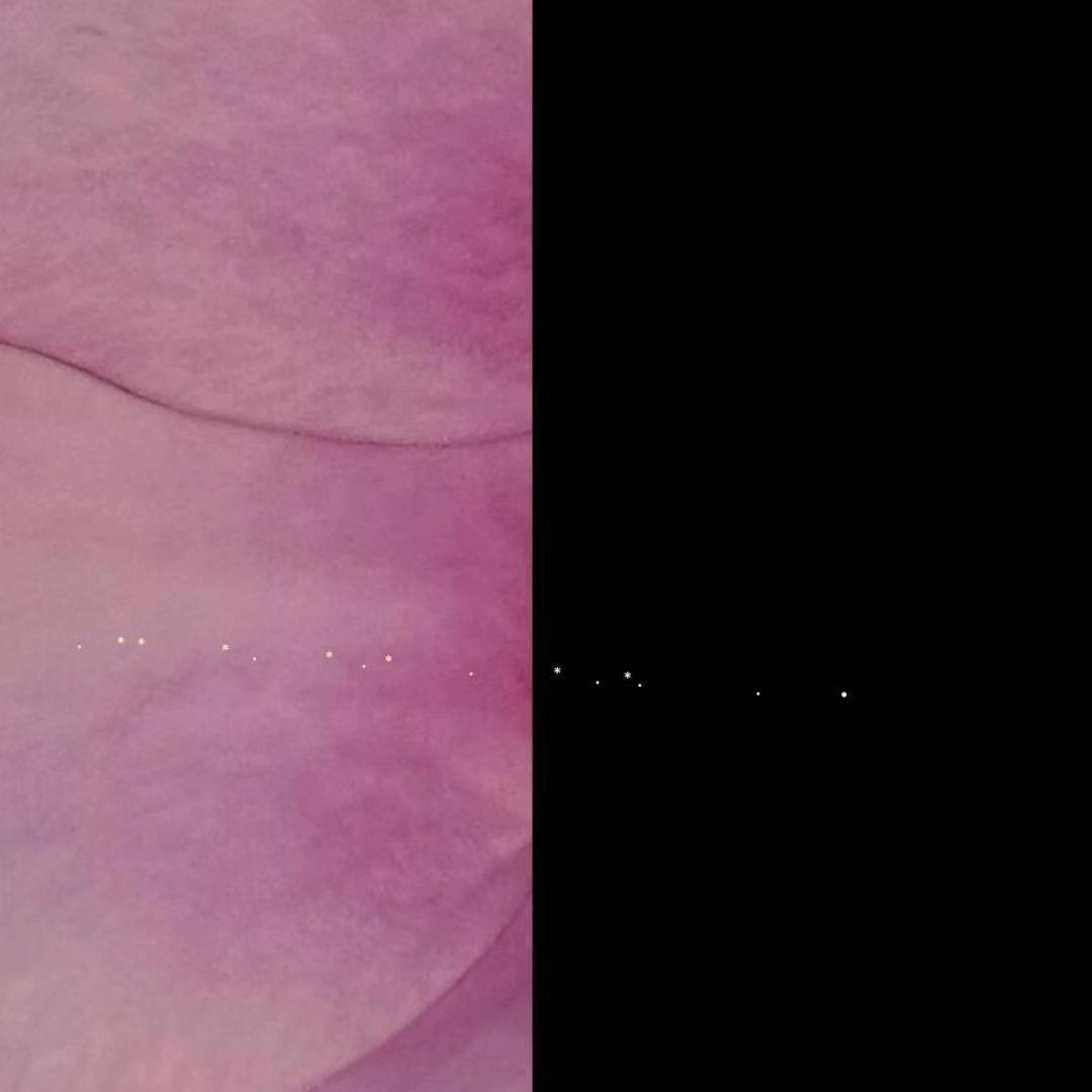 深 潭
