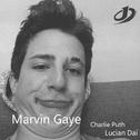 Marvin Gaye(Lucian Dai Remix)专辑