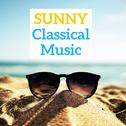 Sunny Classical Music专辑