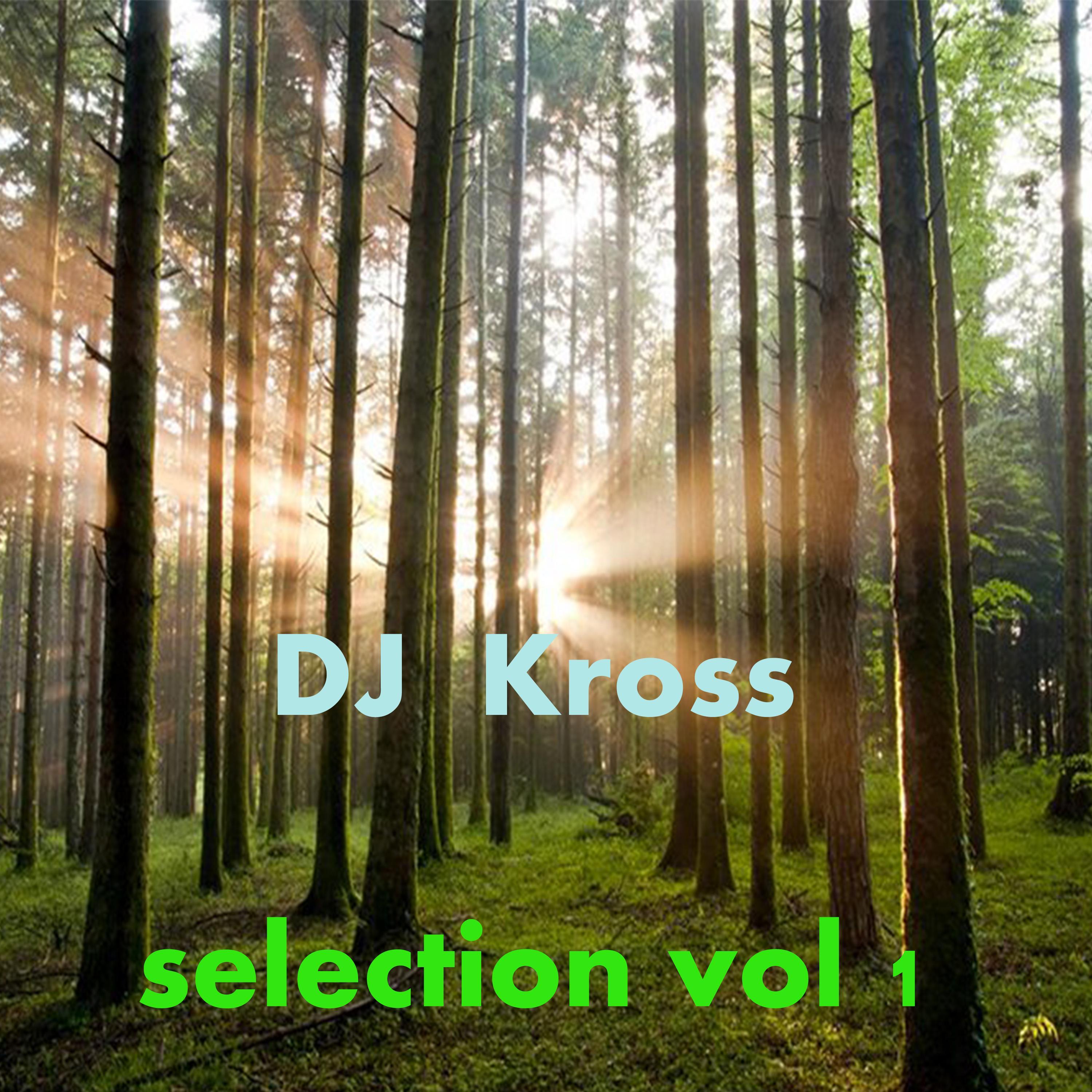 Selection, Vol. 1