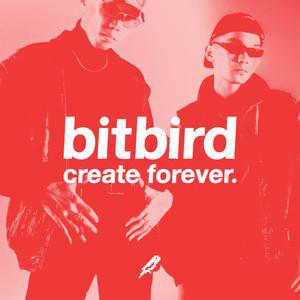 bitbird releases