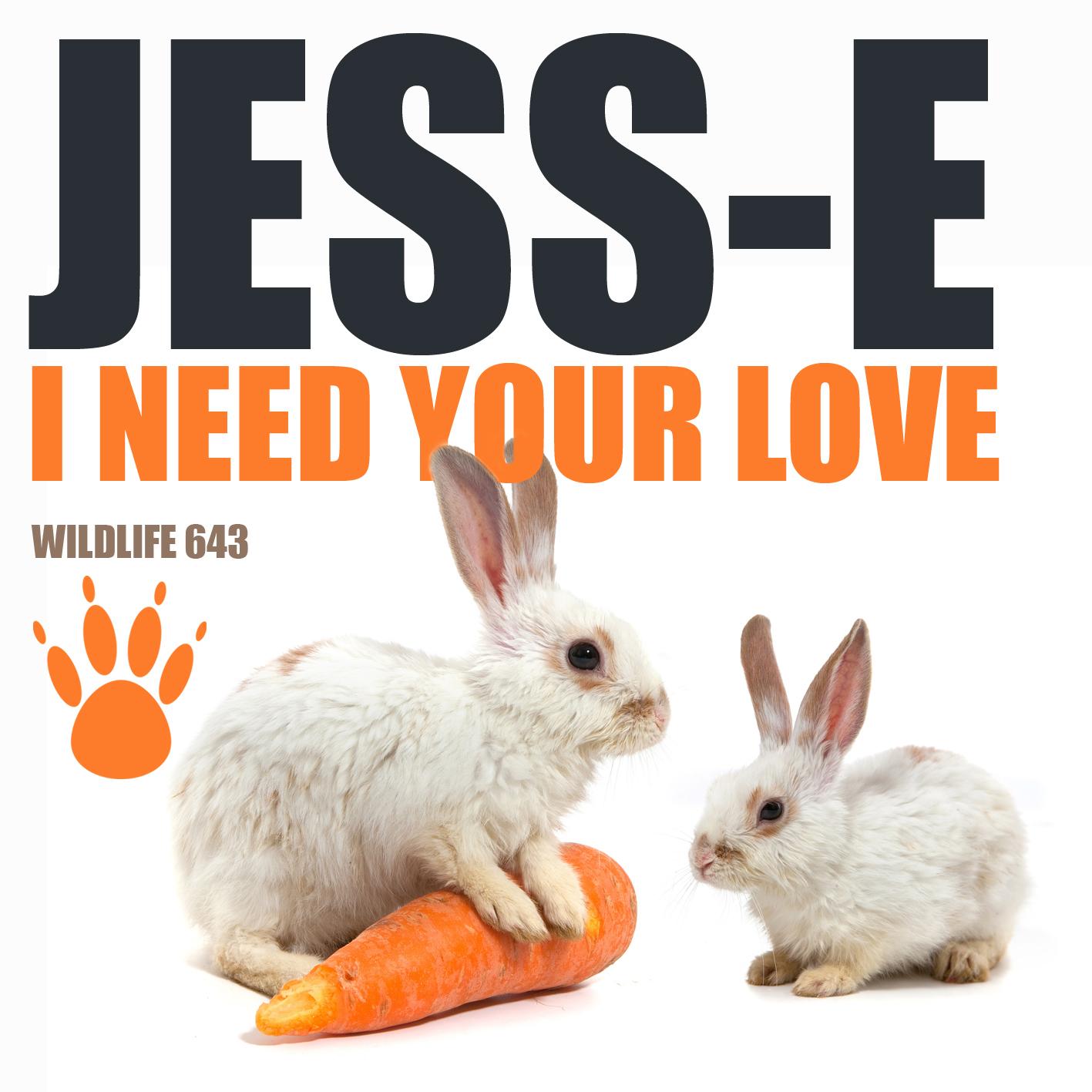 I Need Your Love