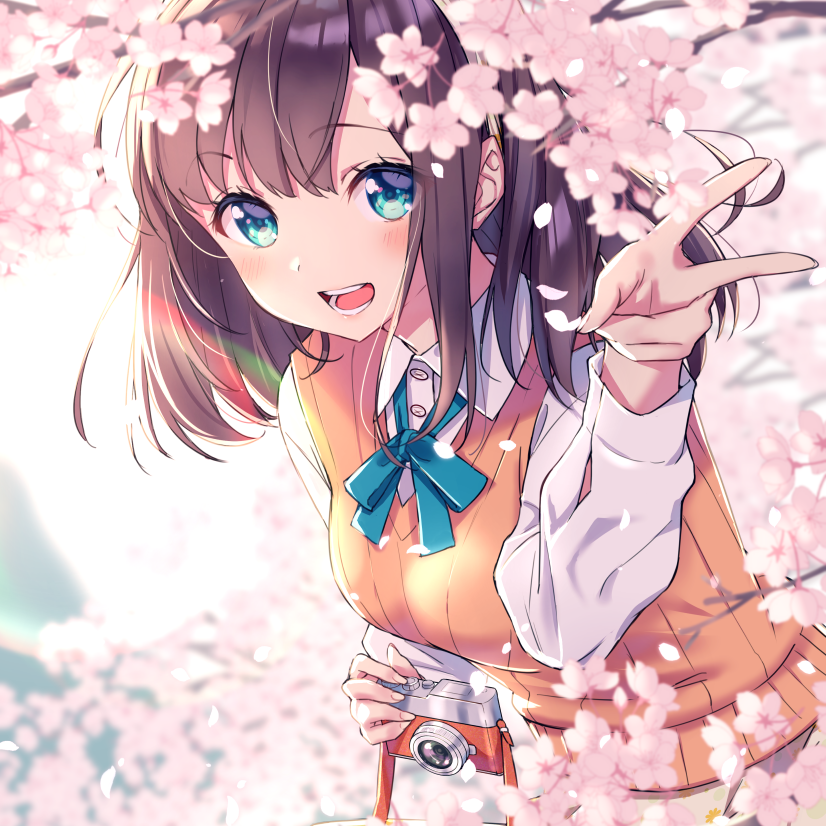 空中に浮いた桜