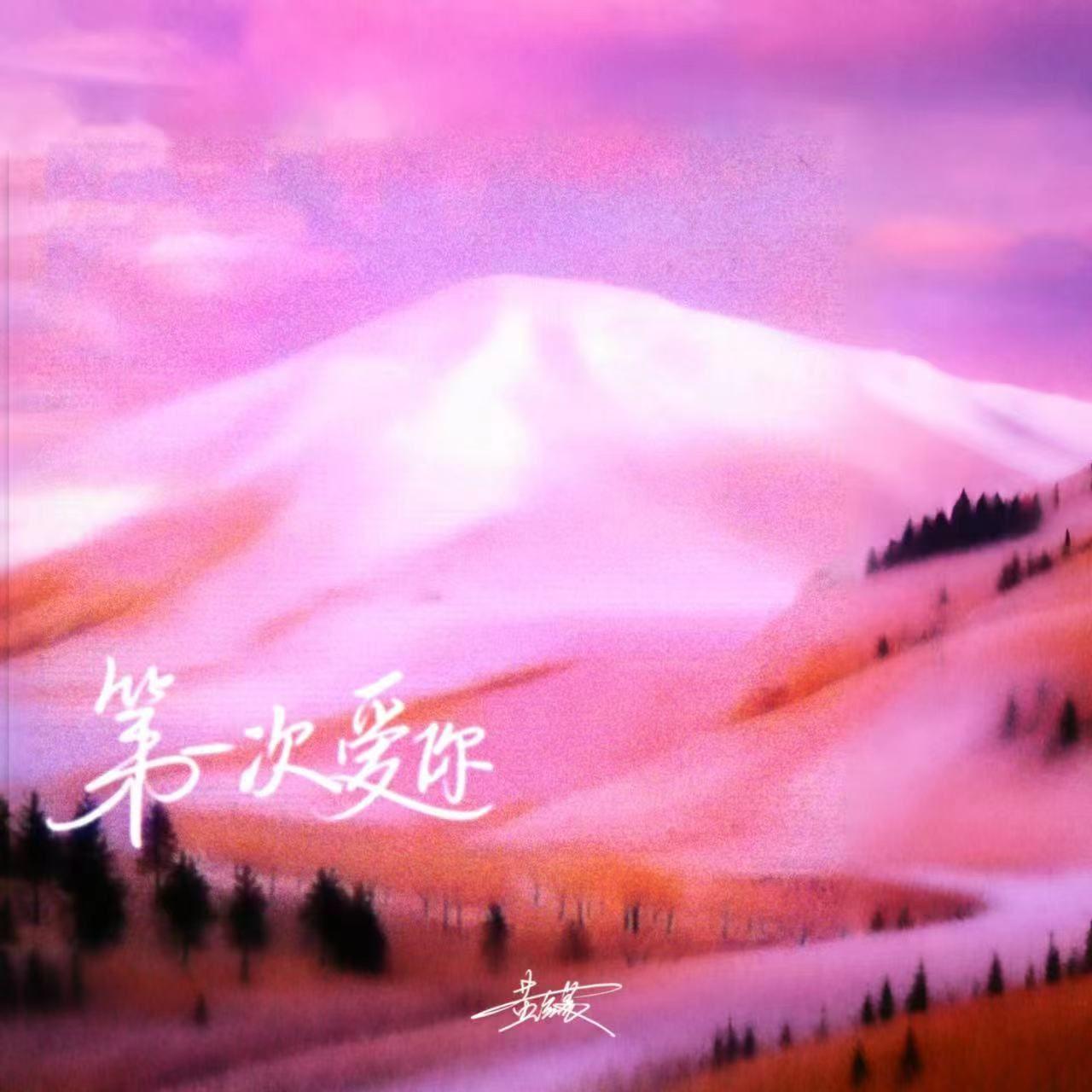 第一次爱你