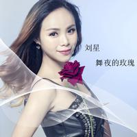 刘星 - 舞夜的玫瑰 - 原版伴奏.mp3
