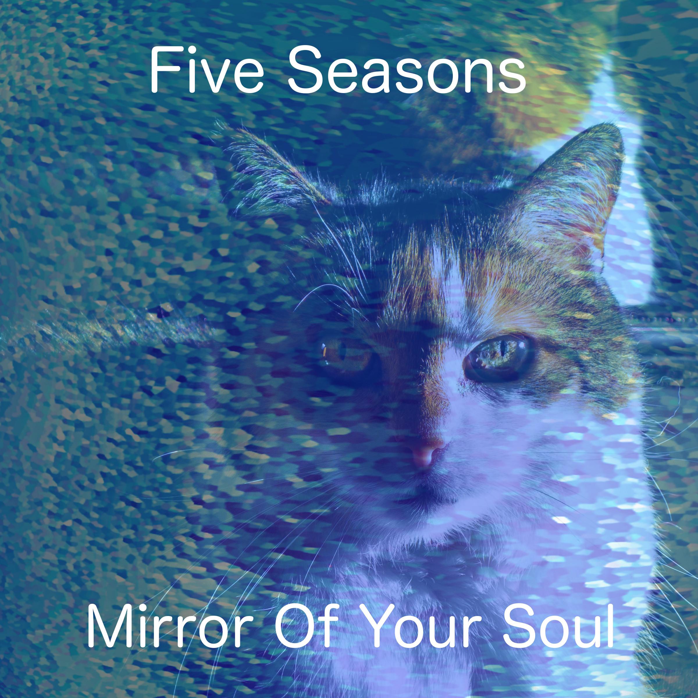 Mirror of Your Soul