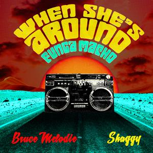 Bruce Melodie & Shaggy - When She's Around (Funga Macho) (Instrumental) 原版无和声伴奏 （升6半音）