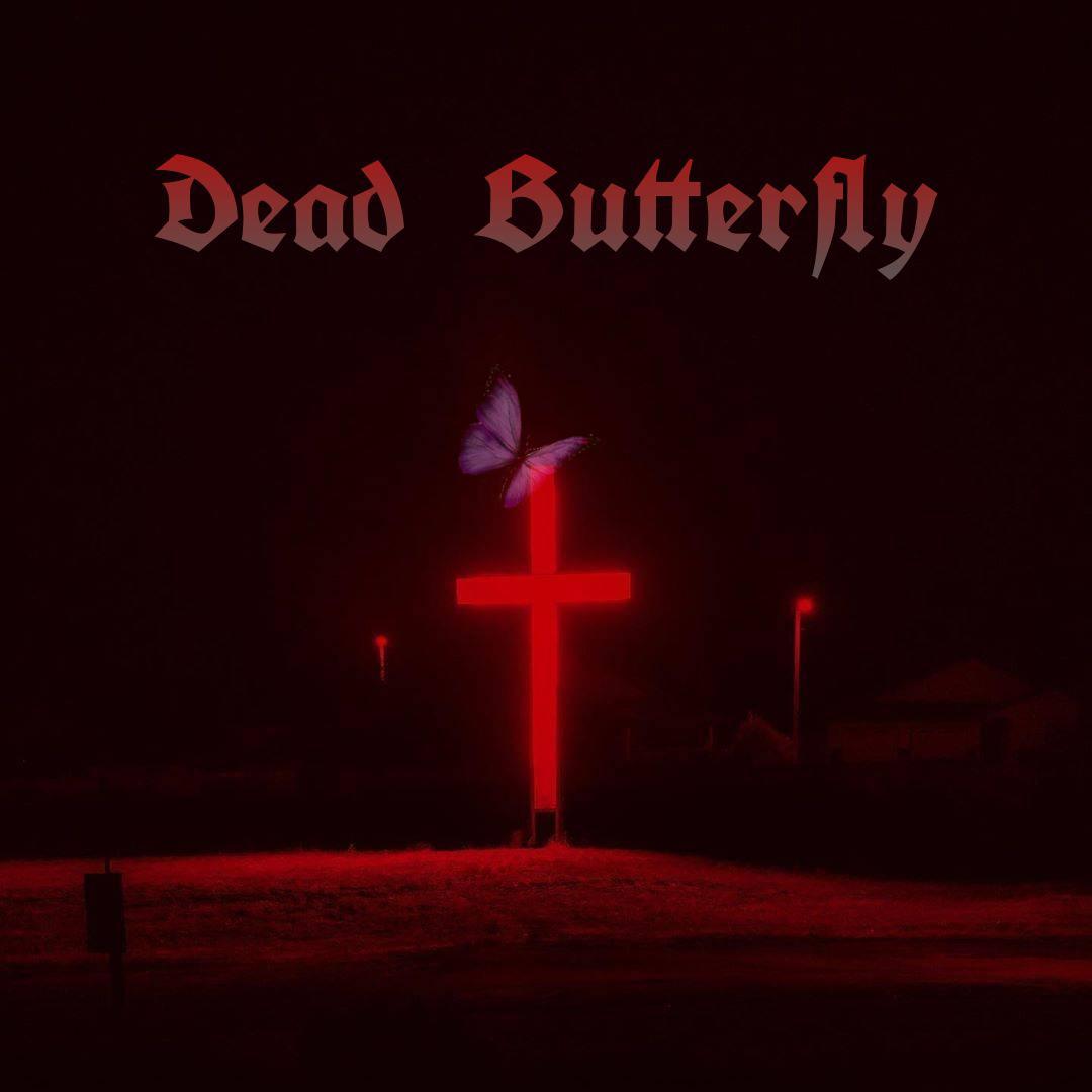 Dead Butterfly