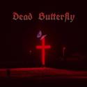 Dead Butterfly