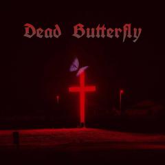 Dead Butterfly