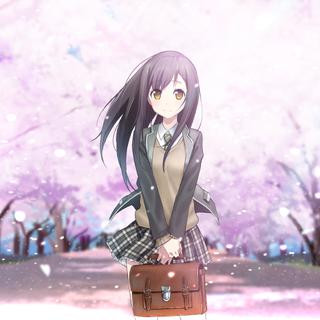 「纯音·樱花祭」樱花绽放，飘散成曲。
