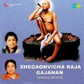 Shegaonvicha Raja Gajanan Comp