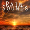 1 Hour of Rain Sounds and Relaxing Nature Sounds with White Noise