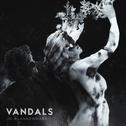 Vandals专辑