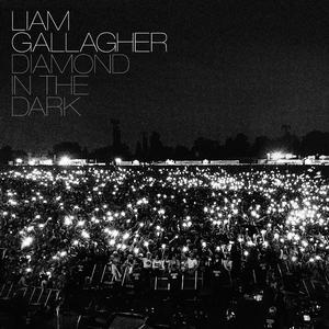 Liam Gallagher (of OASIS) - Diamond In The Dark (DJ Premier Remix) (Instrumental) 原版无和声伴奏