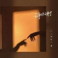 谢谢