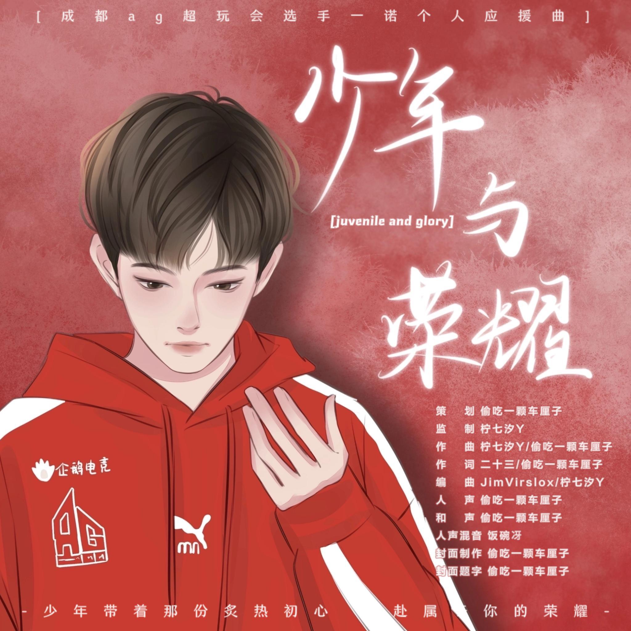 少年与荣耀