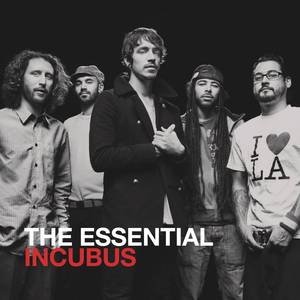 Incubus - LOVE HURTS （升6半音）