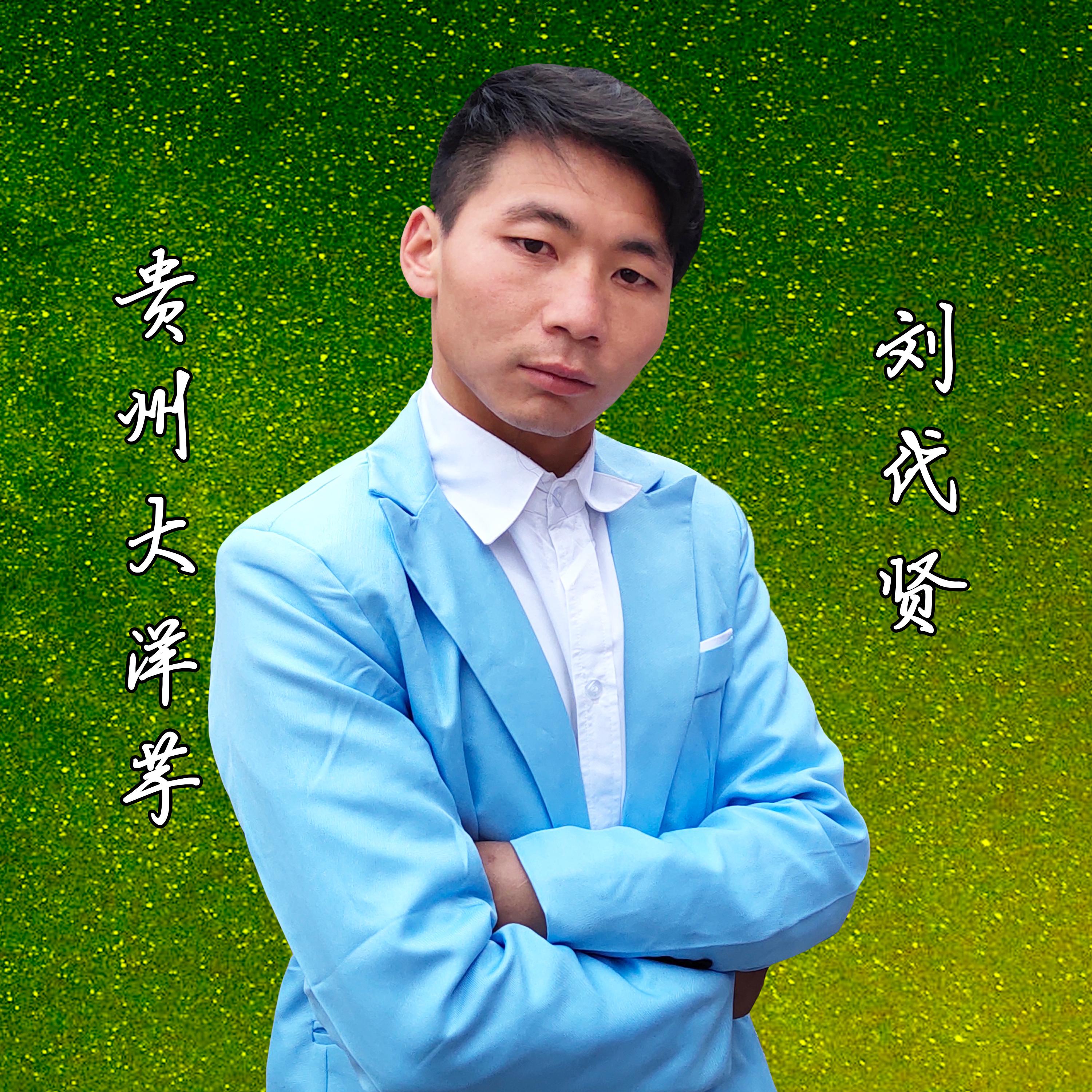 贵州大洋芋（DJ版） - 刘代贤 - 单曲 - 网易云音乐
