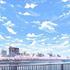 英短PP