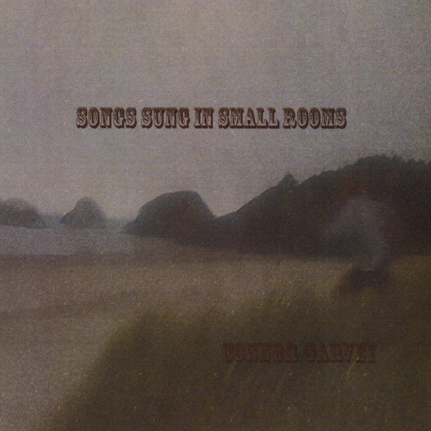 Songs Sung in Small Rooms