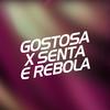 DJ Christian Vibe - GOSTOSA X SENTA E REBOLA