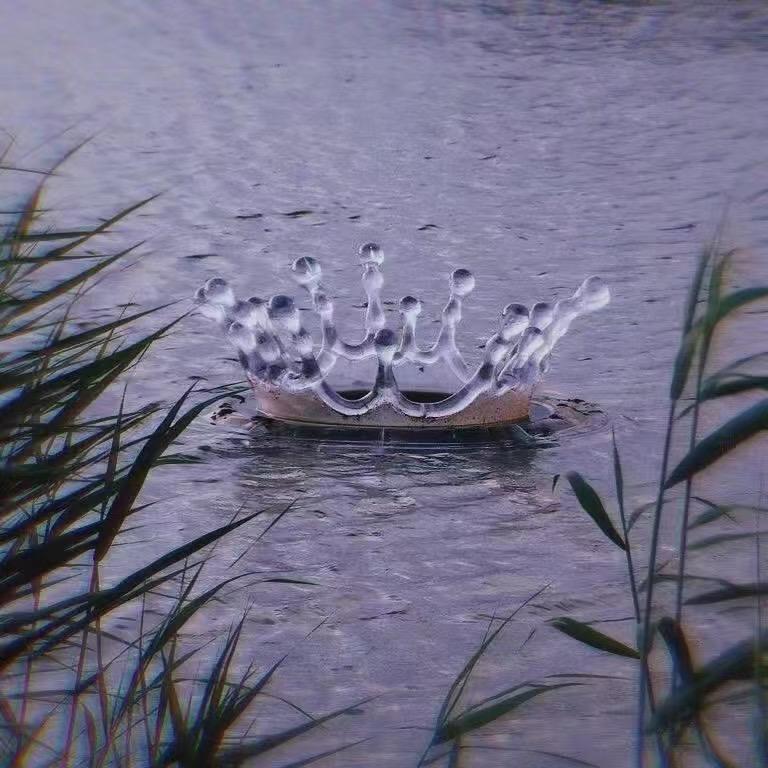 天若有情