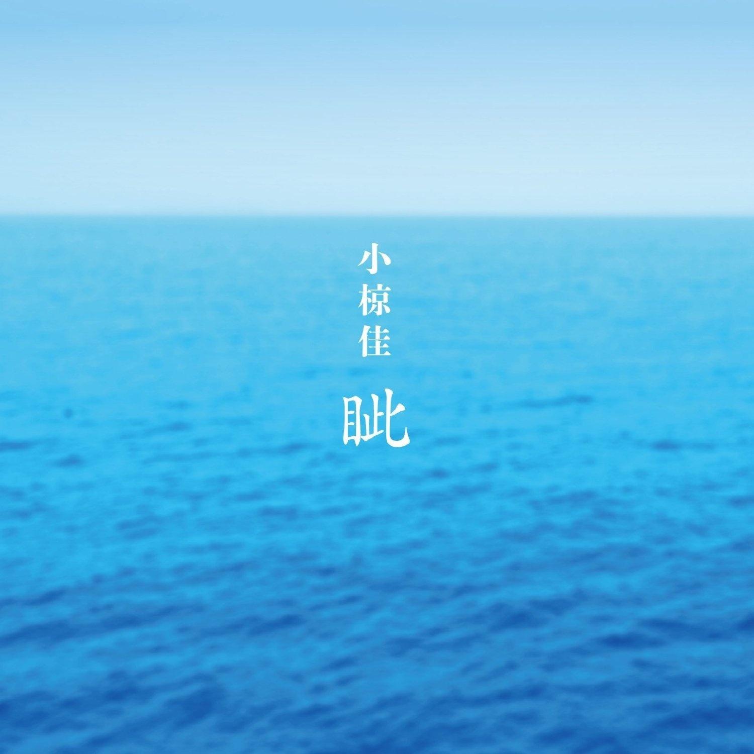 眦