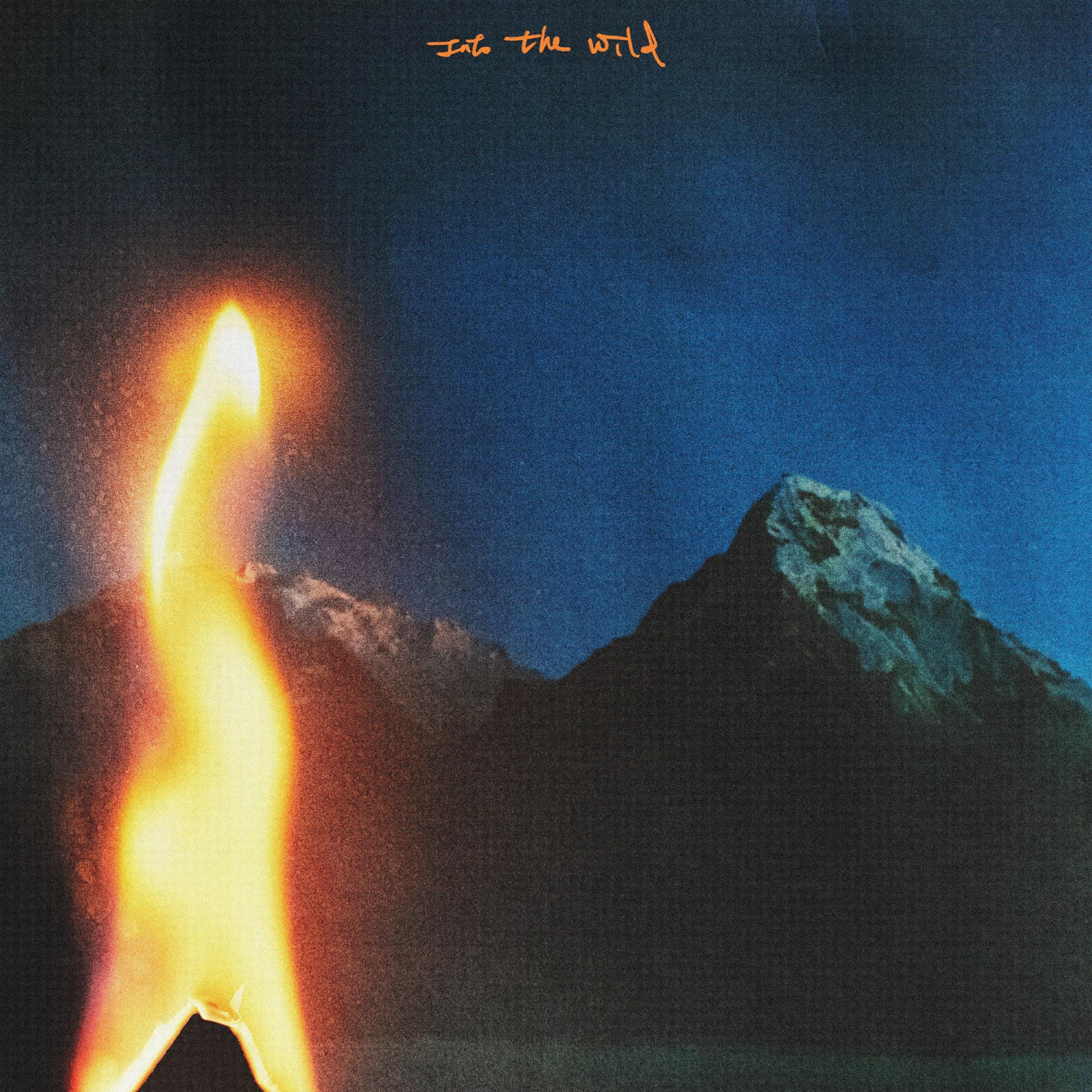 Into the Wild