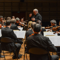 Les Musiciens du Louvre