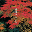花鸟风月