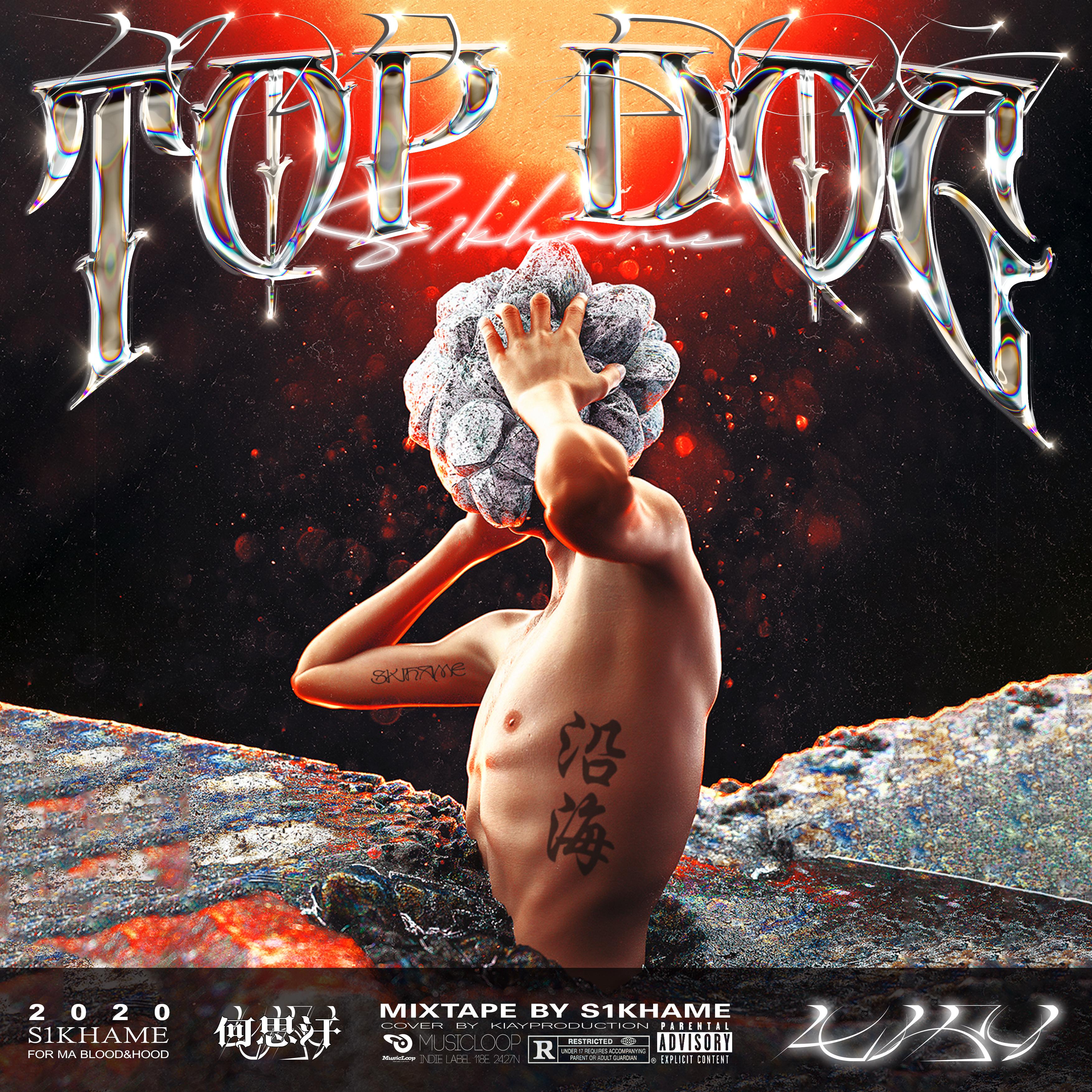 人上人TopDog